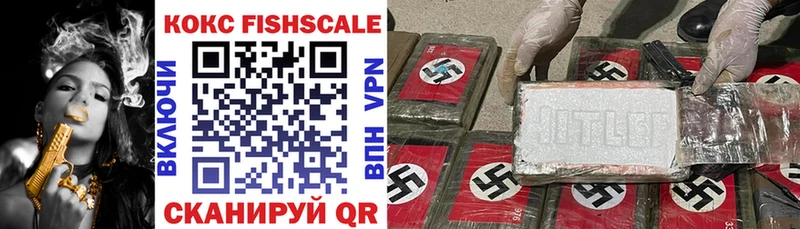COCAIN Fish Scale  Купить закладки  Тюкалинск 