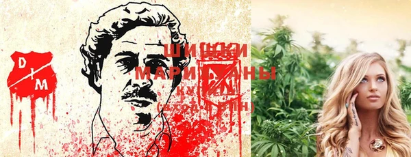 мдпв Волоколамск