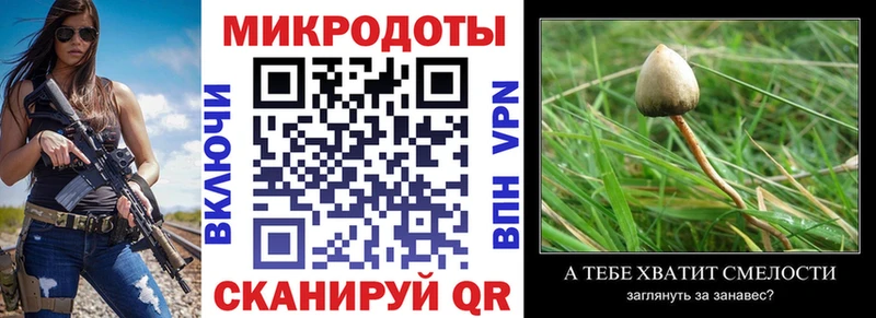 Псилоцибиновые грибы мухоморы  Купить закладки  Тюкалинск 